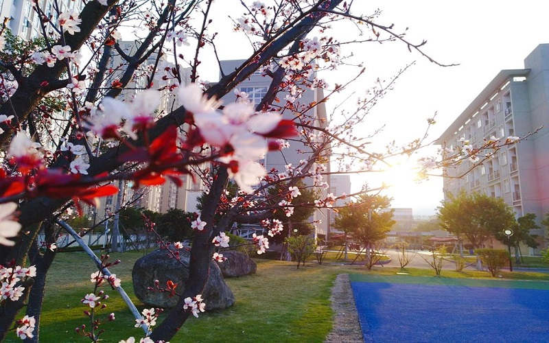 闽江师范高等专科学校校园风景