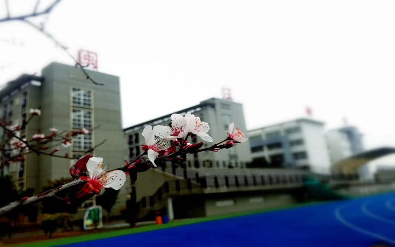 闽江师范高等专科学校校园风景