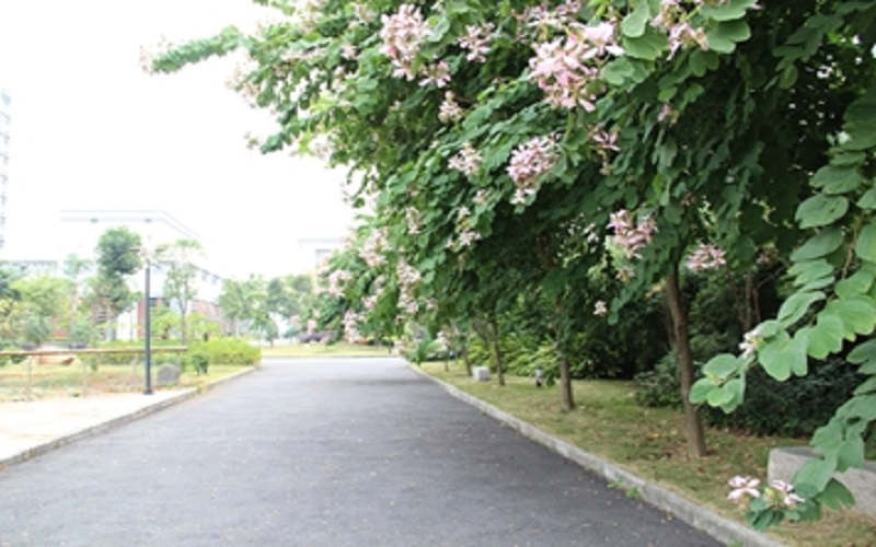 闽江师范高等专科学校校园风景