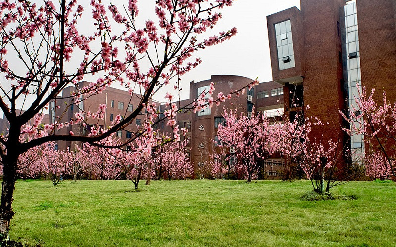 江西师范大学校园风景