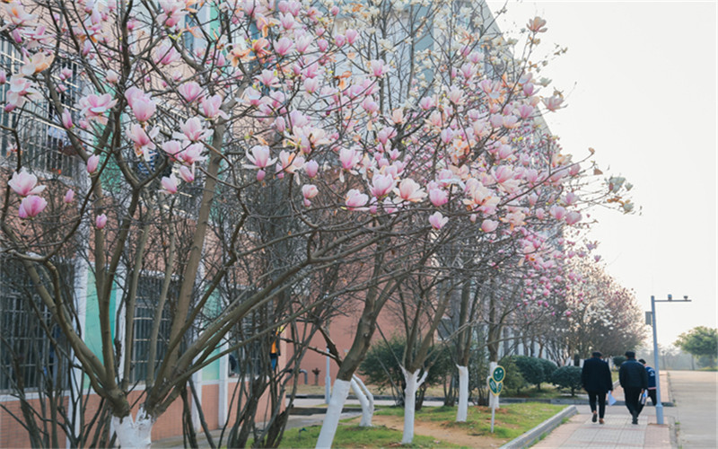 江西环境工程职业学院校园风景