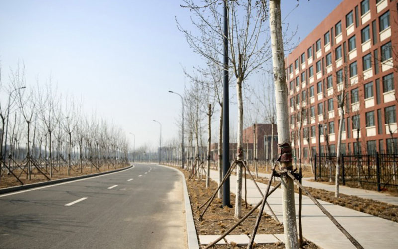 天津机电职业技术学院校园风景