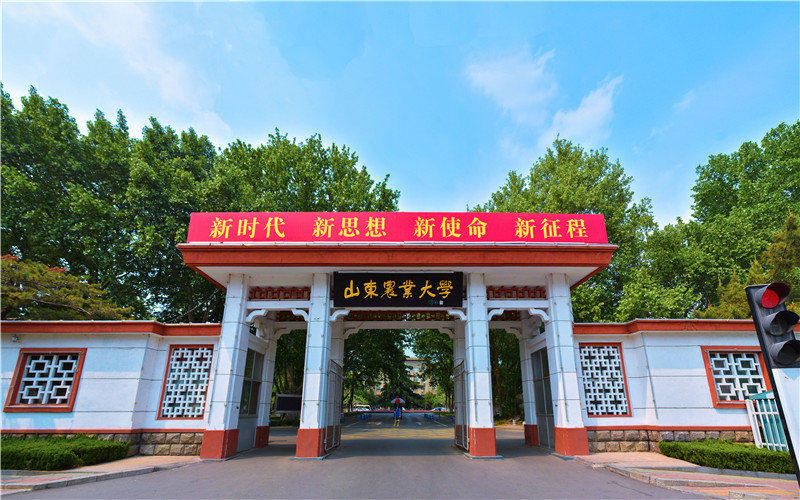 山东农业大学校园风景