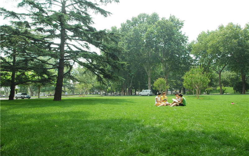 山东农业大学校园风景