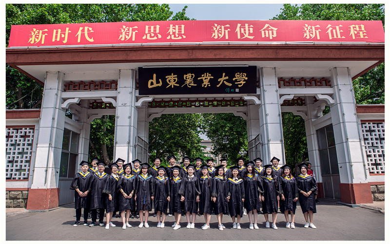 山东农业大学校园风景