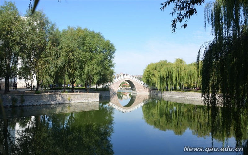 青岛农业大学校园风景