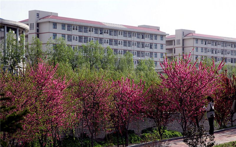 山东中医药大学校园风景