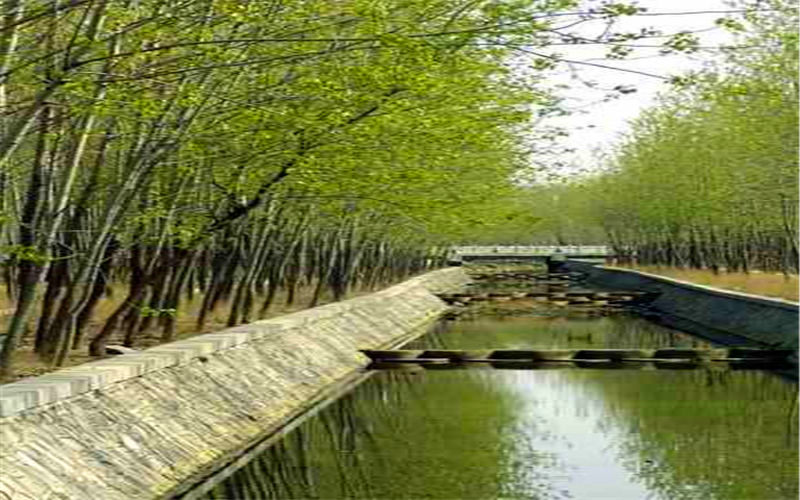 济宁医学院校园风景