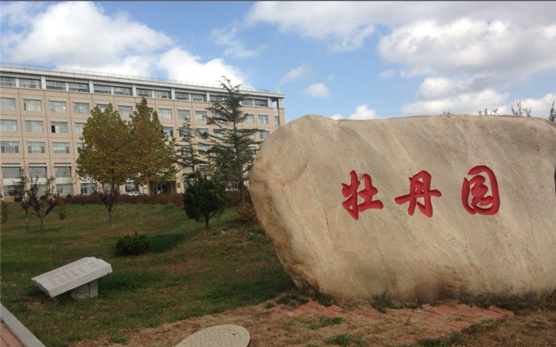 鲁东大学校园风景