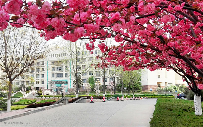 泰山学院校园风景