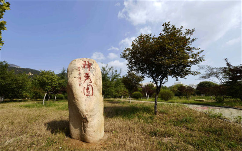 泰山学院校园风景