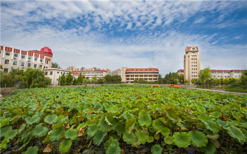 烟台大学校园风景