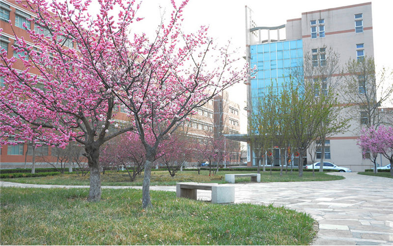 山东石油化工学院校园风景