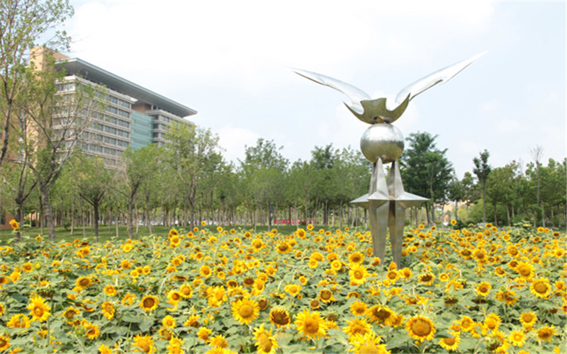 东营职业学院校园风景