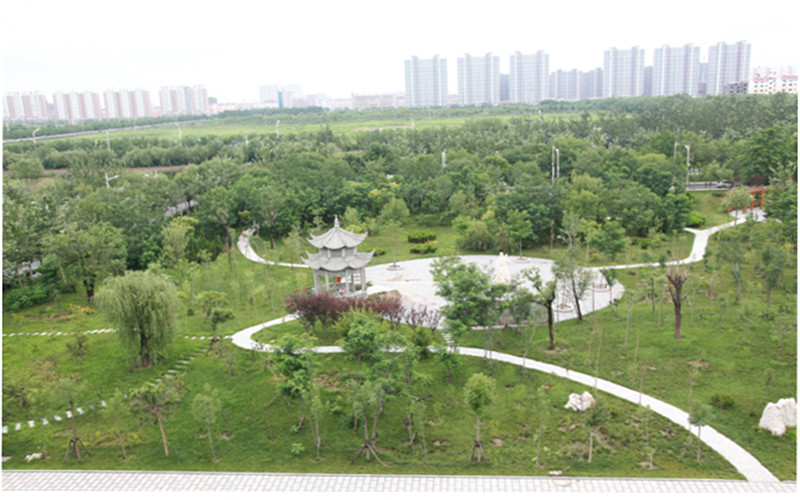 滨州职业学院校园风景