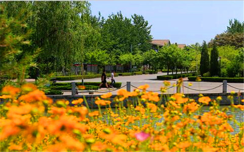 山东科技职业学院校园风景