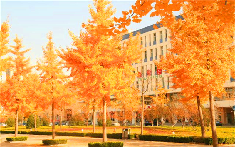 山东畜牧兽医职业学院校园风景