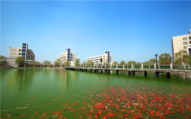 淄博职业学院校园风景