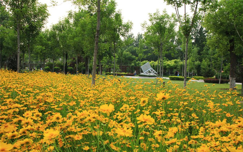 山东经贸职业学院校园风景