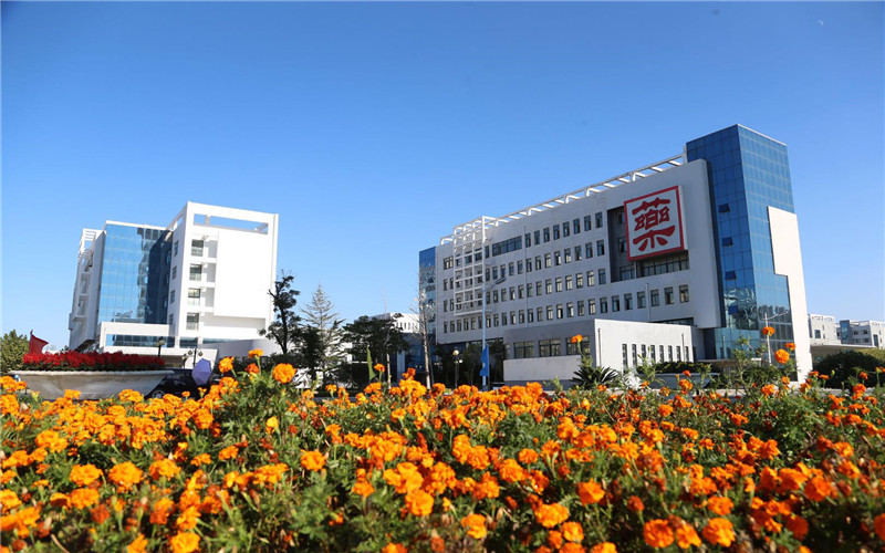 山东中医药高等专科学校校园风景