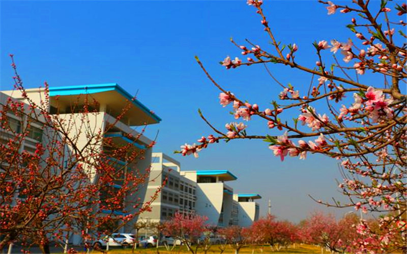 山东电子职业技术学院校园风景