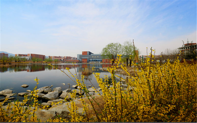 山东城市建设职业学院校园风景