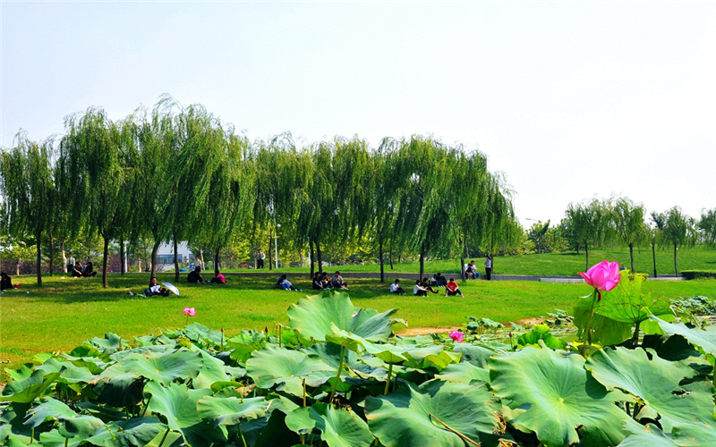 华北水利水电大学校园风景