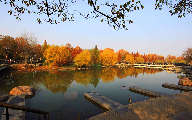 郑州大学校园风景