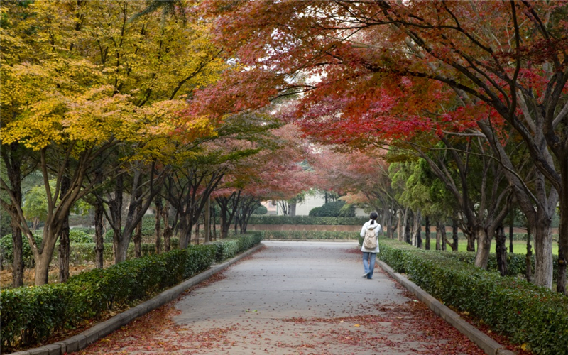 河南科技大学校园风景