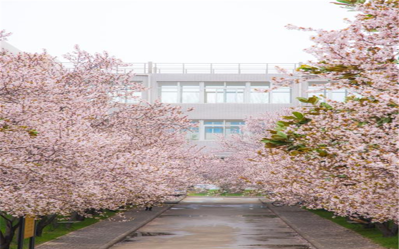 中原工学院校园风景