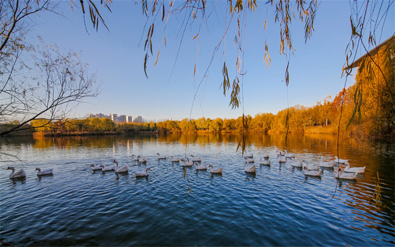 河南中医药大学校园风景