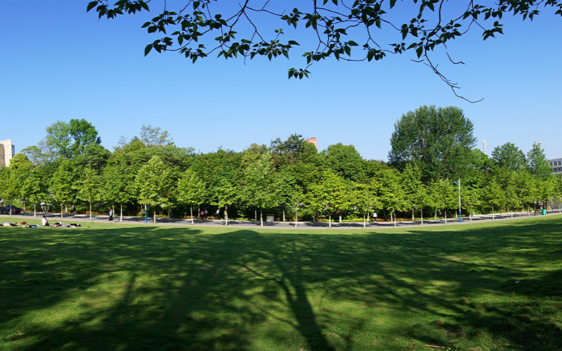 信阳师范大学校园风景