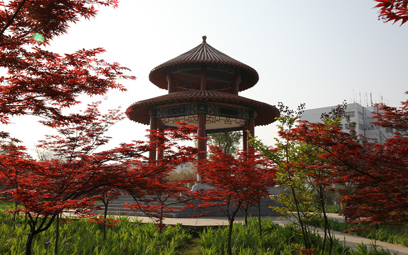 信阳师范大学校园风景