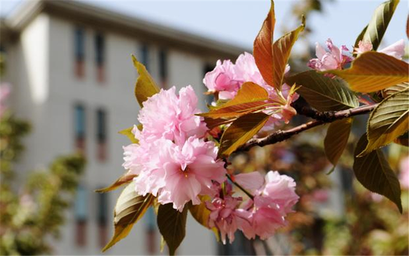 河南财经政法大学校园风景