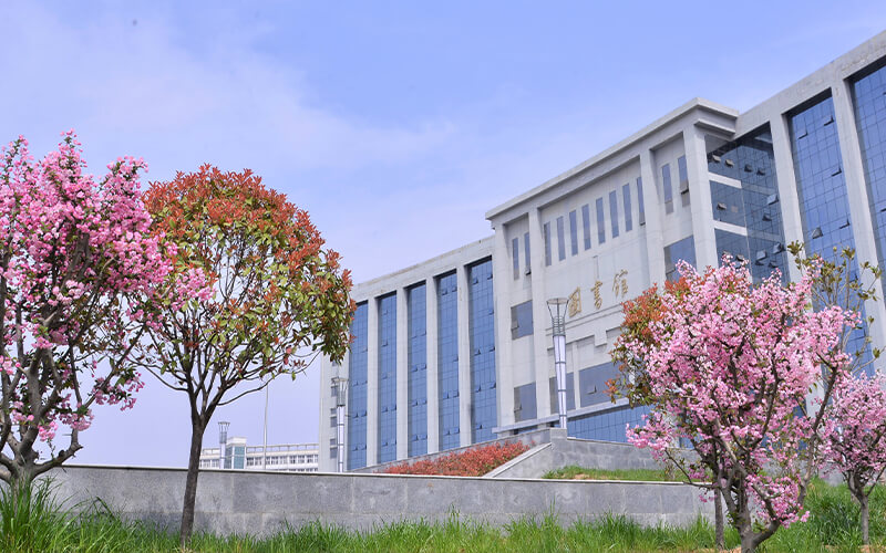 平顶山学院校园风景