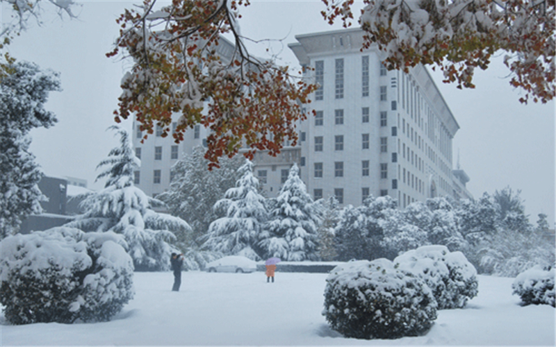 中原科技学院校园风景