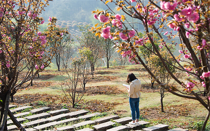 信阳学院校园风景