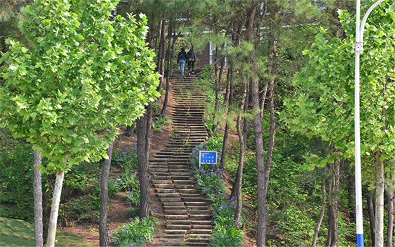 信阳学院校园风景