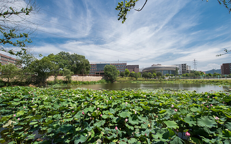 信阳学院校园风景