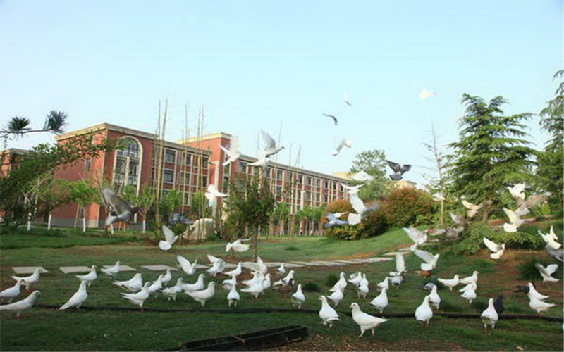 安阳学院校园风景