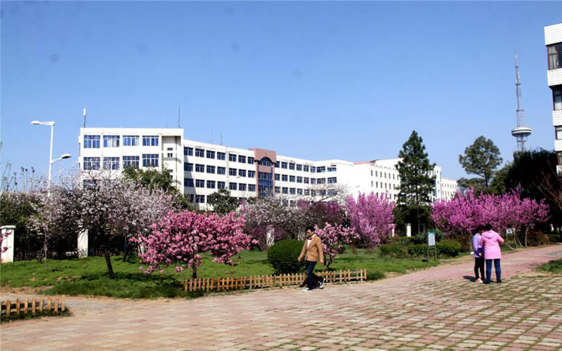 漯河职业技术学院校园风景