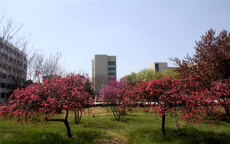 漯河职业技术学院校园风景