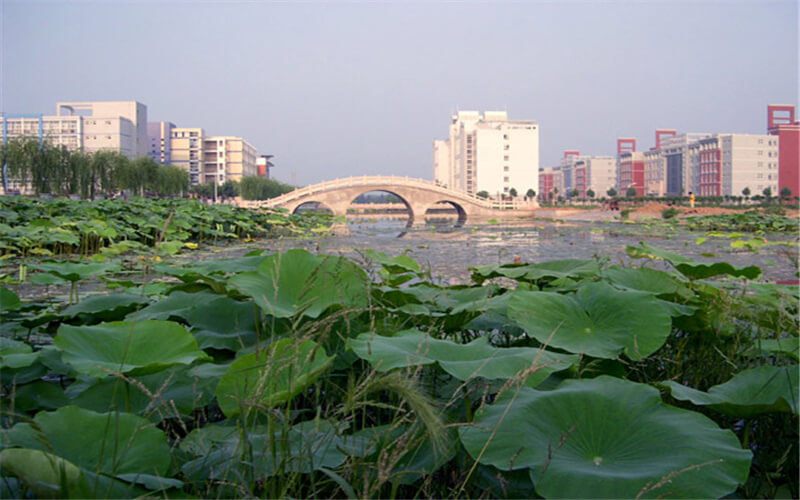 焦作大学校园风景