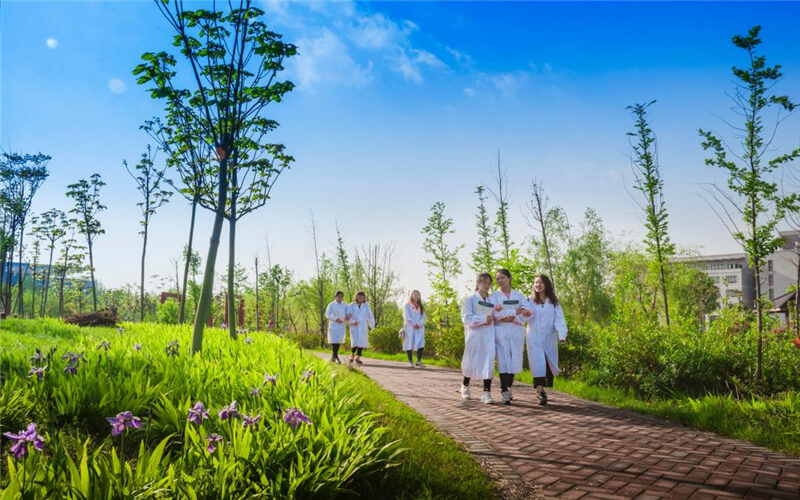 漯河医学高等专科学校校园风景