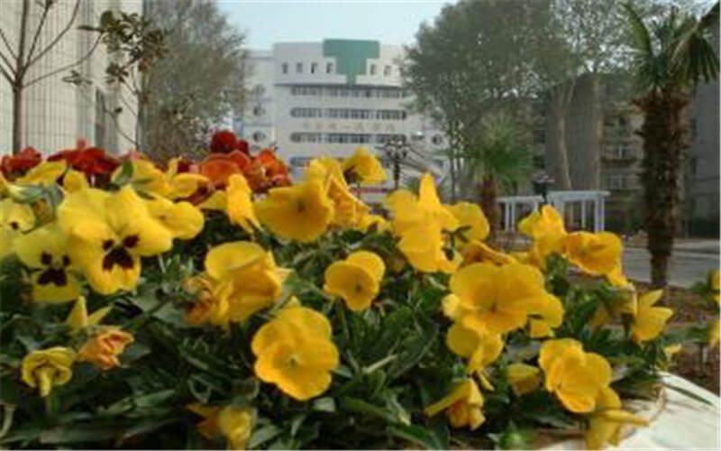 河南工业贸易职业学院校园风景