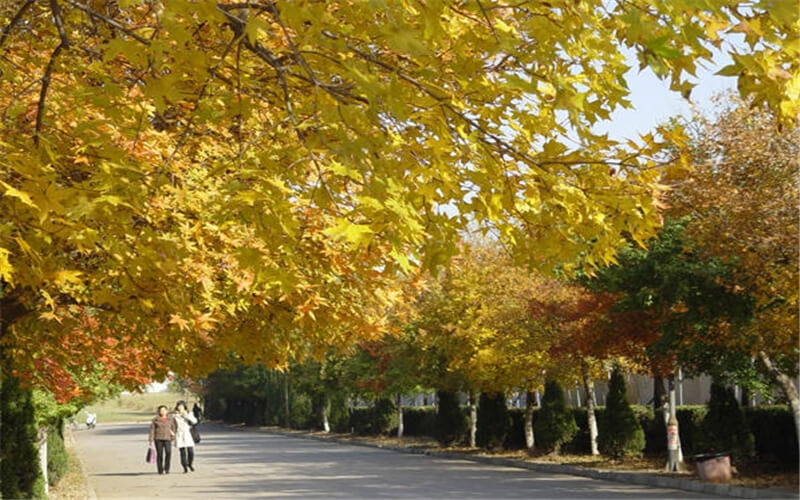 郑州电力职业技术学院校园风景