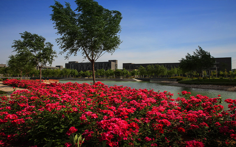 安阳职业技术学院校园风景