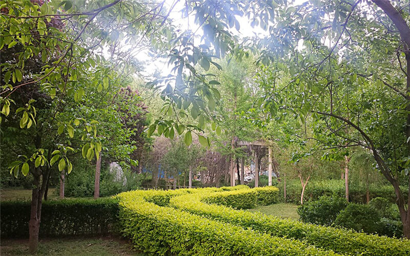 长垣烹饪职业技术学院校园风景