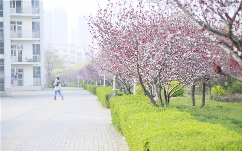 河南推拿职业学院校园风景