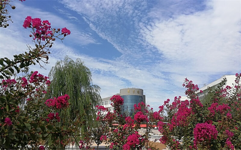 三门峡社会管理职业学院校园风景